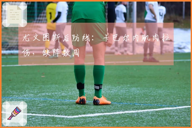 尤文图斯后防线：卡巴尔内肌肉拉伤，缺阵数周