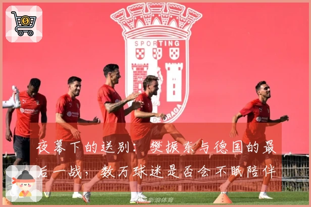 夜幕下的送别：樊振东与德国的最后一战，数万球迷是否会不眠陪伴？